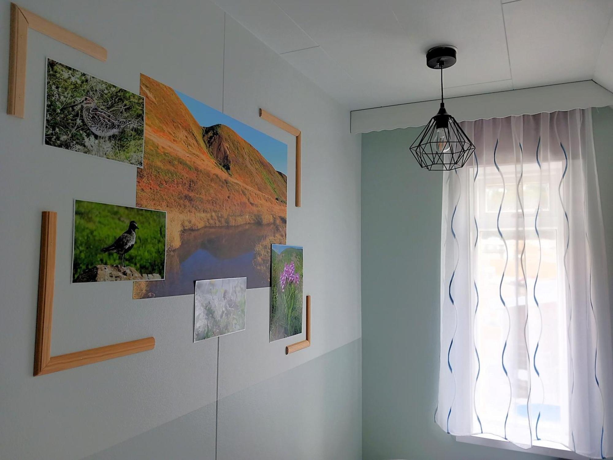 Husavik Green Hostel Eksteriør bilde